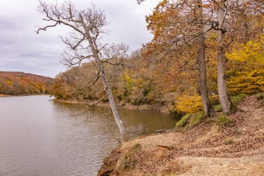 baheky, istanbul, Türkiye-Kasım 24,2018.view Belgrad Ormanı istanbul'dan. Belgrad Ormanı, İstanbul 'un Avrupa yakasında bir doğal ormanlık alanda olduğunu.