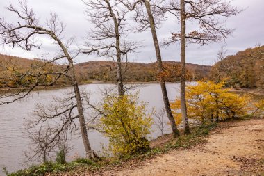 baheky, istanbul, Türkiye-Kasım 24,2018.view Belgrad Ormanı istanbul'dan. Belgrad Ormanı, İstanbul 'un Avrupa yakasında bir doğal ormanlık alanda olduğunu.
