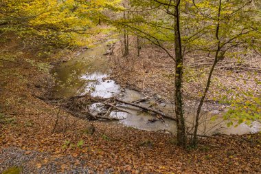 baheky, istanbul, Türkiye-Kasım 24,2018.view Belgrad Ormanı istanbul'dan. Belgrad Ormanı, İstanbul 'un Avrupa yakasında bir doğal ormanlık alanda olduğunu.