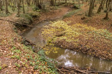baheky, istanbul, Türkiye-Kasım 24,2018.view Belgrad Ormanı istanbul'dan. Belgrad Ormanı, İstanbul 'un Avrupa yakasında bir doğal ormanlık alanda olduğunu.