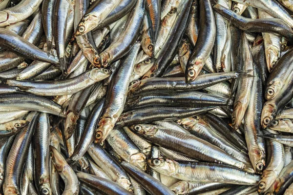 Pesce Fresco Vendita Nel Mercato Del Pesce — Foto Stock