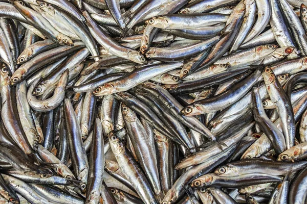 Pesce Fresco Vendita Nel Mercato Del Pesce — Foto Stock