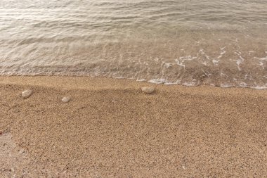 deniz ve kum kıyı dalgalar ile