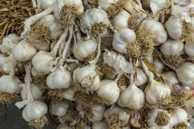 Manav sarımsak demetleri kadar kapatın