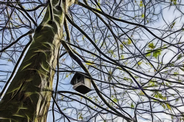 自然の中の木の枝に鳥の巣 — ストック写真