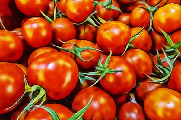 用蔬菜水果把西红柿关起来 — 图库照片