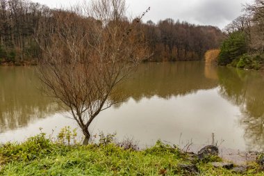 Bahcekoy, Sarıyer, Istanbul, Türkiye - Aralık 12,2018.The Atatrk Botanik Bahçesi Baheky Saryer district bir parçası Belgrad ormanlarında güneydoğusunda bulunan.