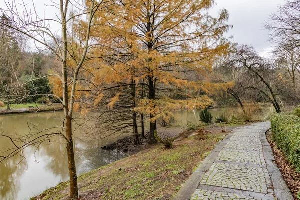 Bahcekoy Sariyer Estambul Turquía Diciembre 2018 Atatrk Arboretum Encuentra Sureste — Foto de Stock