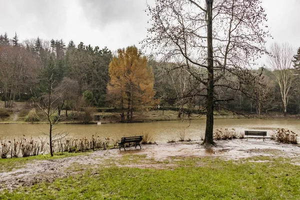 Bahcekoy Sariyer Estambul Turquía Diciembre 2018 Atatrk Arboretum Encuentra Sureste — Foto de Stock