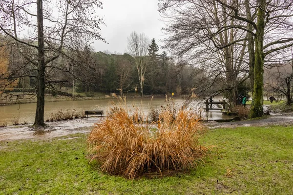 Bahcekoy Sariyer Istanbul Turquie Décembre 2018 Arboretum Atatrk Est Situé — Photo