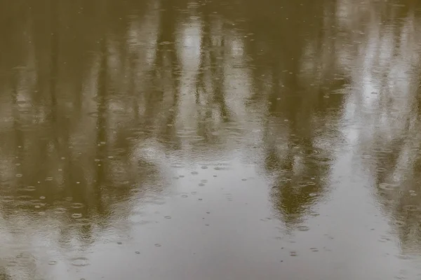 Reflections Raindrops Pond Nature — Stock Photo, Image