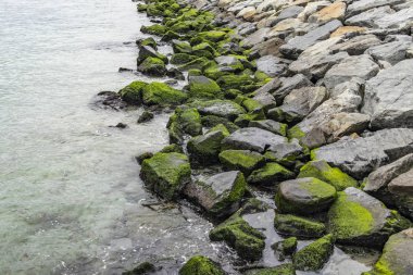 deniz ve plaj dalgalar yakınındaki kayalıklarla