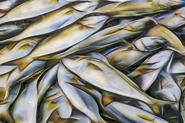 Pesce Fresco Vendita Nel Mercato Del Pesce — Foto Stock