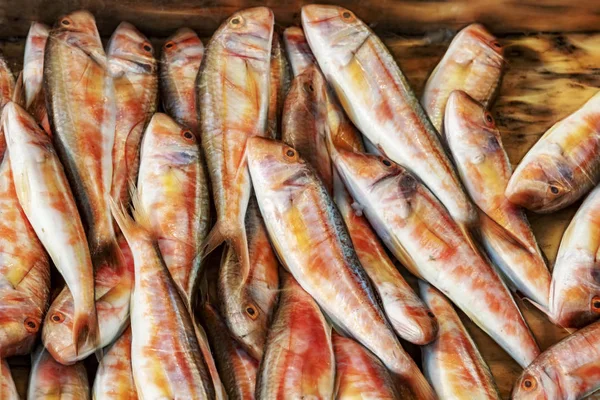 Peixes Frescos Para Venda Mercado Peixe — Fotografia de Stock