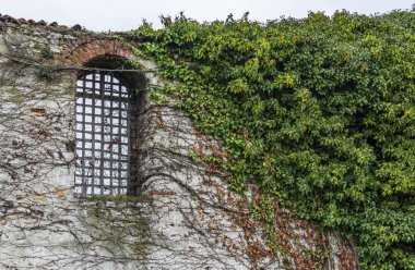 Bina duvar doğada berbat