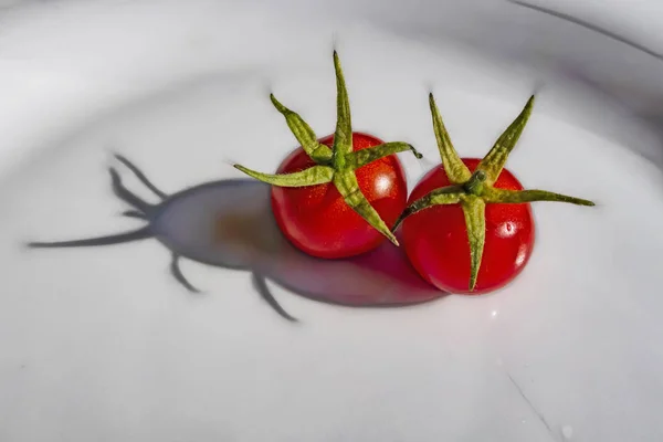 Κοντινό Πλάνο Κερασιού Ντομάτα Στο Πιάτο — Φωτογραφία Αρχείου