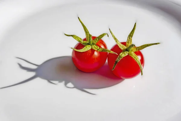 Fermer Tomate Cerise Sur Assiette — Photo