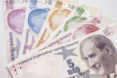 Türk Lirası banknot kadar kapatın ve circulaton içinde sikke
