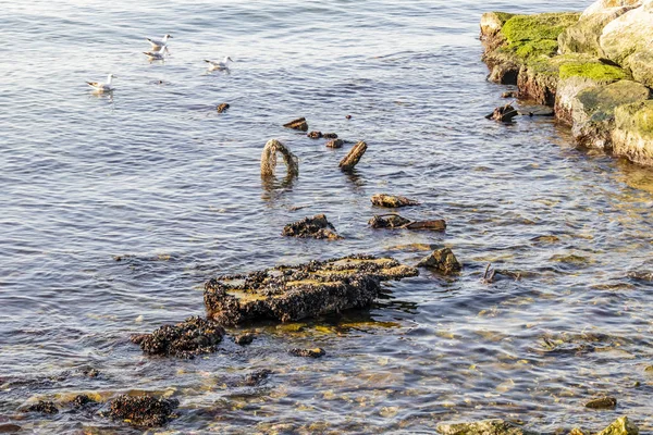 Rotsachtige Kliffen Kalme Zee — Stockfoto