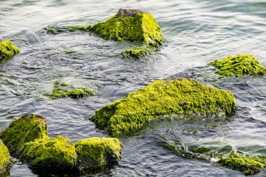 deniz ve plaj dalgalar yakınındaki kayalıklarla