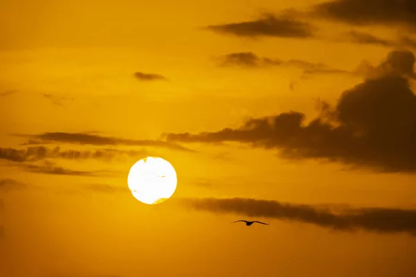 Zonsopgang Zon Achter Wolken — Stockfoto