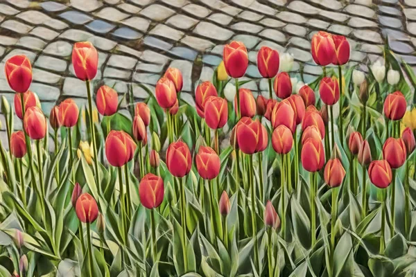 Fermer Les Tulipes Dans Nature Verte — Photo