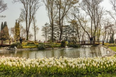 emirgan,istanbul,türkiye-6 Nisan 2019. Emirgan Parkı, Emirgan'da bulunan tarihi bir şehir parkıdır. Emirgan Parkı'nda Uluslararası İstanbul Lale Festivali ve Genel Görünüm .