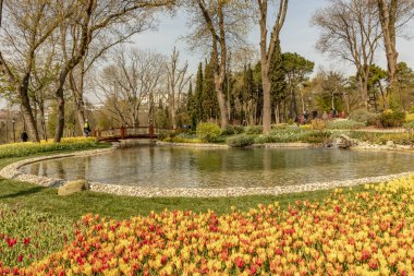 emirgan,istanbul,türkiye-6 Nisan 2019. Emirgan Parkı, Emirgan'da bulunan tarihi bir şehir parkıdır. Emirgan Parkı'nda Uluslararası İstanbul Lale Festivali ve Genel Görünüm .