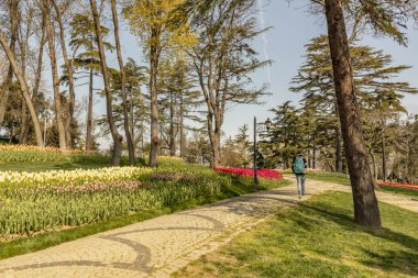 emirgan,istanbul,türkiye-6 Nisan 2019. Emirgan Parkı, Emirgan'da bulunan tarihi bir şehir parkıdır. Emirgan Parkı'nda Uluslararası İstanbul Lale Festivali ve Genel Görünüm .
