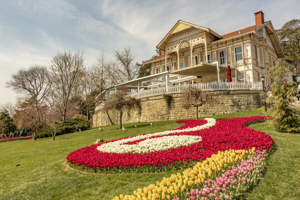 emirgan, istanbul, turkey-april 6,2019. Международный фестиваль тюльпанов в Стамбуле в Парке Таргана и Общий вид
 .