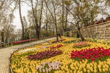 emirgan,istanbul,türkiye-6 Nisan 2019. Emirgan Parkı, Emirgan'da bulunan tarihi bir şehir parkıdır. Emirgan Parkı'nda Uluslararası İstanbul Lale Festivali ve Genel Görünüm .