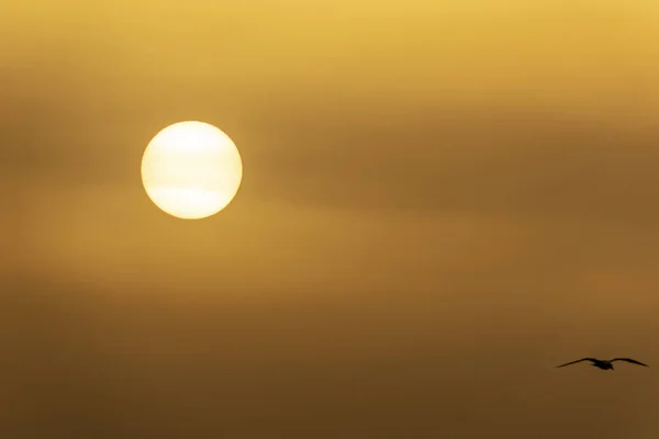 Ανατολή Και Τον Πρωινό Ήλιο Στον Ουρανό — Φωτογραφία Αρχείου
