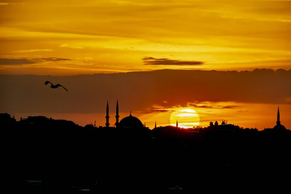 Salida Del Sol Silueta Ciudad Con Mezquita Estambul — Foto de Stock