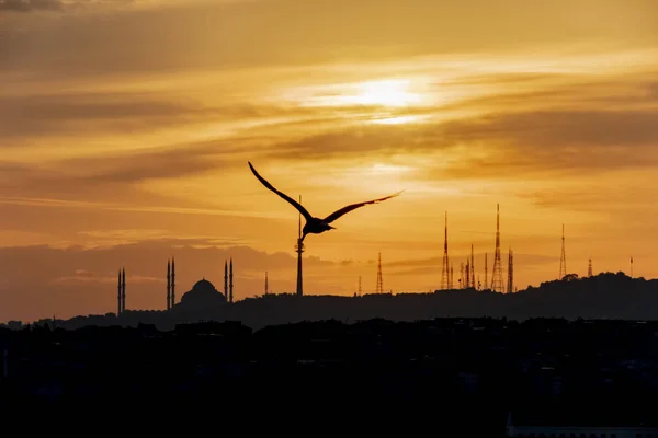 Salida Del Sol Silueta Ciudad Con Mezquita Estambul —  Fotos de Stock