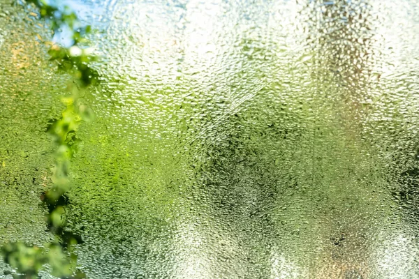 Fechar Gotas Água Vidro — Fotografia de Stock