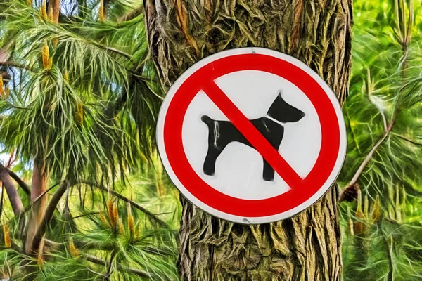 dog can not enter. warning sign in nature