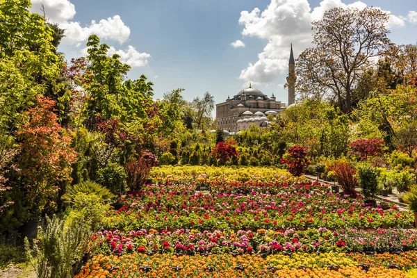 Eyup Istanbul Dinde Avril 2019 Zal Mustafa Pasa Mosquée Jardin — Photo