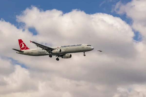 Istanbul Turkey March 2019 Turkish Airlines Airplane Landing Airport — Stock Photo, Image