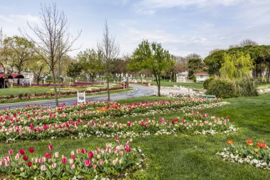 florya,istanbul,türkiye-mart 30,2019. Florya sosyal tesislerinden ve İstanbul'daki halk parkından genel görünüm.