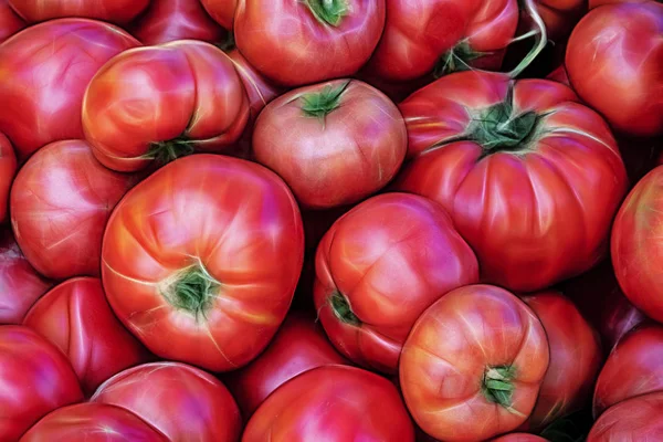 特写红番茄在绿色食品店 — 图库照片