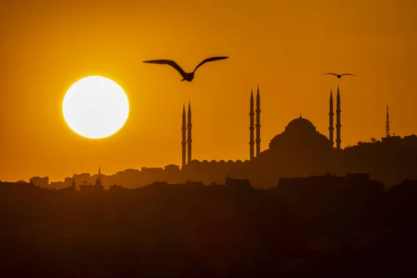 Camlica Istanbul Dinde Mai 2019 Sunrise Silhouette Ville Avec Mosquée — Photo