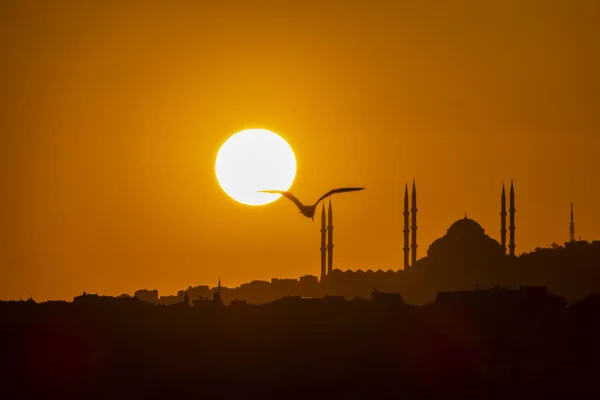 Camlica Istanbul Turkey May 2019 Amanecer Silueta Ciudad Con Mezquita —  Fotos de Stock
