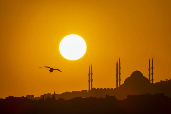 坎利卡 伊斯坦布尔 5月22 2019 日出和城市剪影与卡米卡清真寺在伊斯坦布尔 — 图库照片