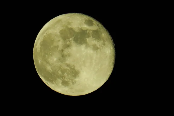 夜の晴天と満月 — ストック写真