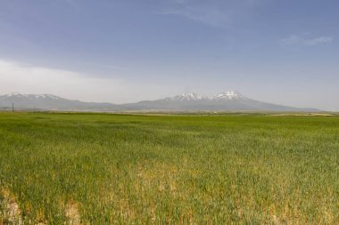 Aksaray,Türkiye-Mayıs 30,2019.Hasan Dağı, Türkiye'nin güneyinde (Aksaray'ın güneyinde) iki katlı güzel bir stratovolkandır.).