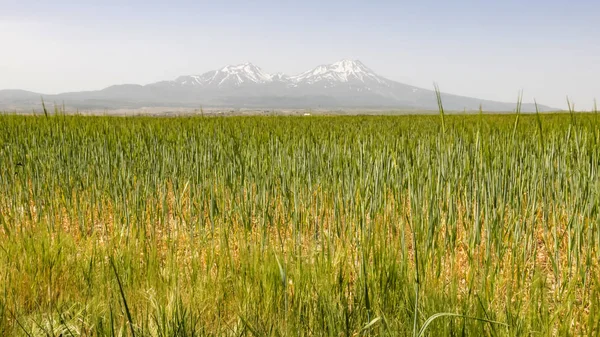 Aksaray Turquia Maio 2019 Hasan Dagi Belo Estratovulcão Pico Duplo — Fotografia de Stock