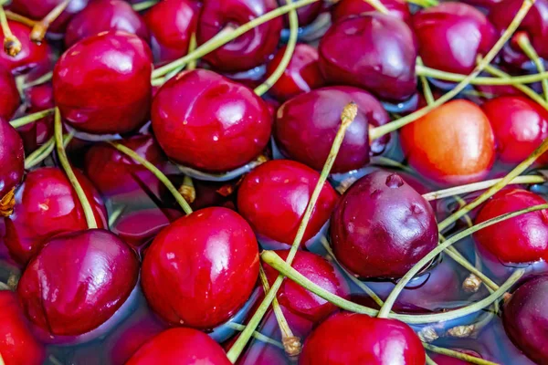 Rote Kirschfrüchte Klarem Wasser Großen Teller — Stockfoto