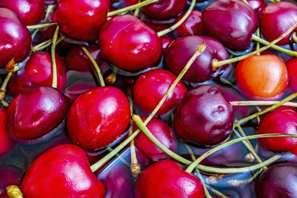 Rote Kirschfrüchte Klarem Wasser Großen Teller — Stockfoto