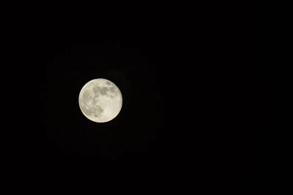 Повний Місяць Нічному Небі Місячному Світлі — стокове фото