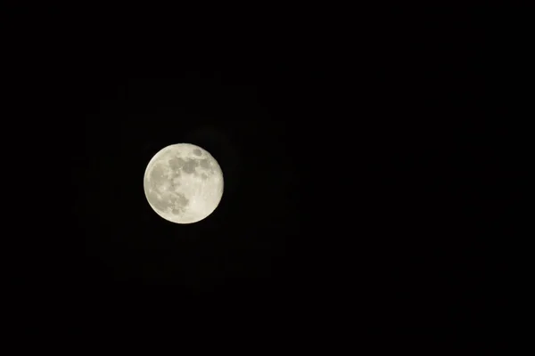 Luna Llena Cielo Nocturno Luz Luna —  Fotos de Stock